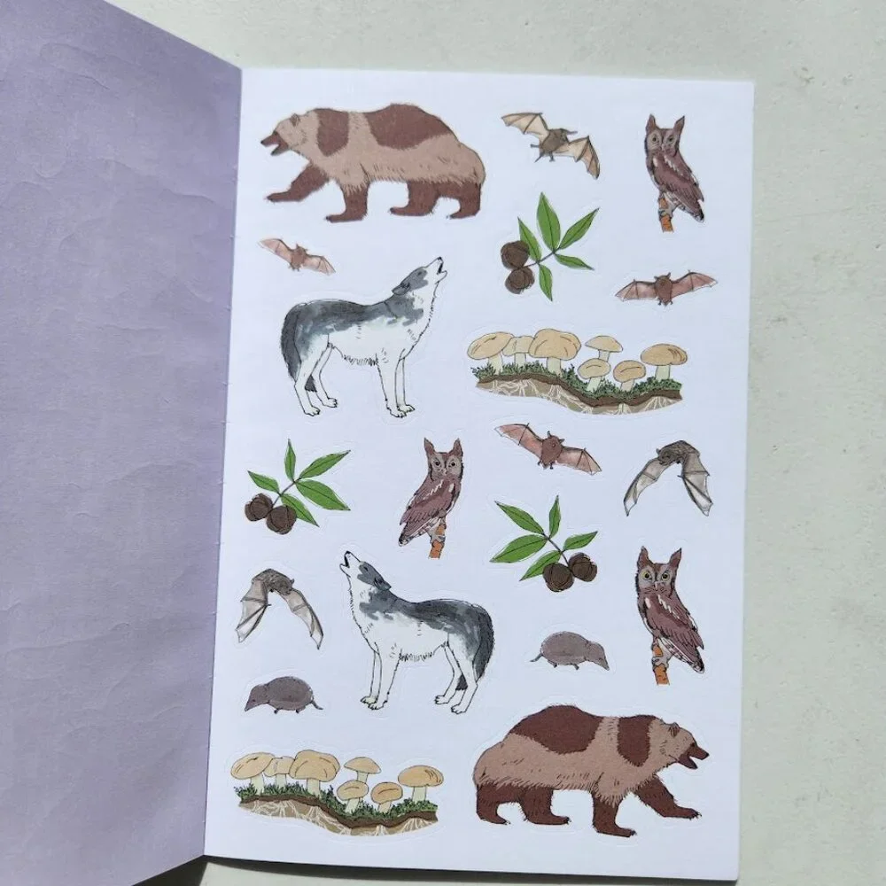 Nature Anatomy Sticker Book Julia Rothman 750 Stickers birds, feathers, wildflow